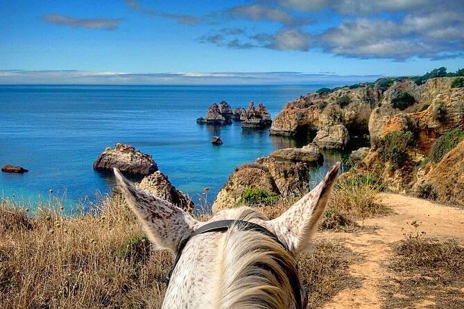 Horse riding in the Algarve