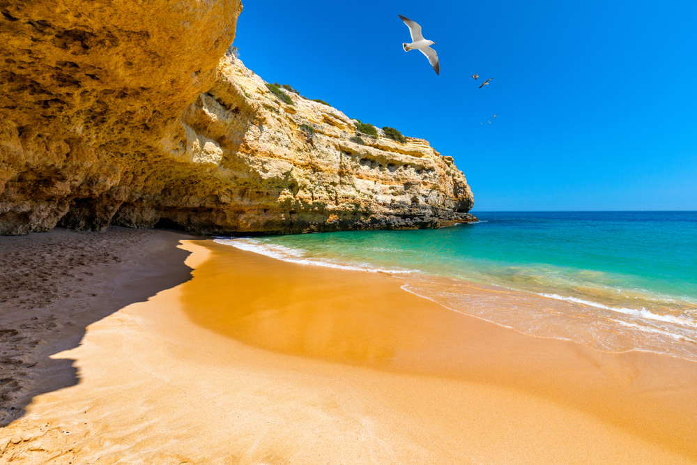 Beaches
